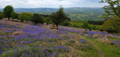 Bed & Breakfast Eastwrey Barton