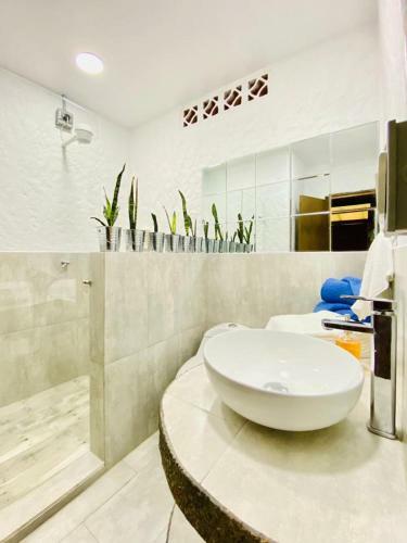 Finca Hotel Boutique Villa Adiela