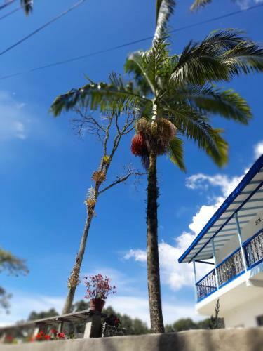 Hostal V�sta Farall�nes