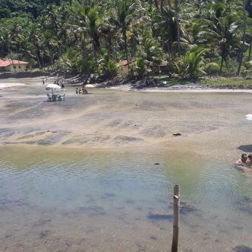 Hostal Guest House Para�so Da Mata Itacar�