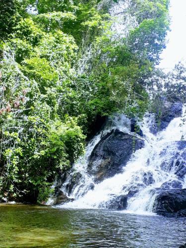 Hostal Guest House Para�so Da Mata Itacar�
