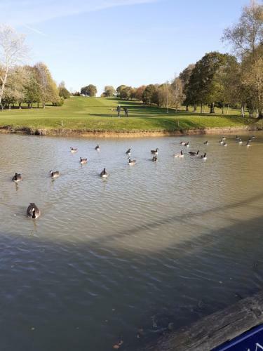 Headcorn Lodge Hotel