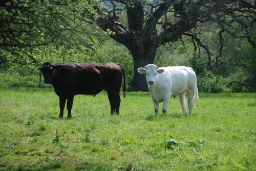 Agroturismo Hills Farm