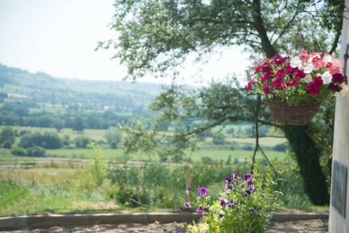 Agroturismo Hills Farm