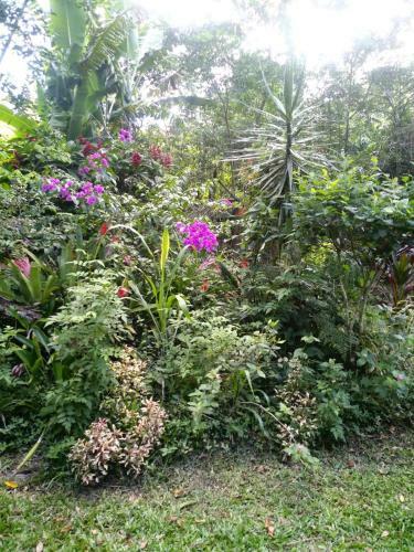 Mema Ref�gio Verde E Praia - Casa Temporada