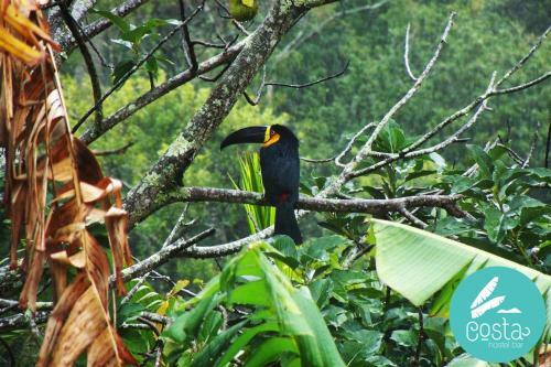 Costa Hostel Veghouse