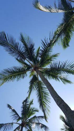 Apartamento Harmonia Flat Particular Ilhabela