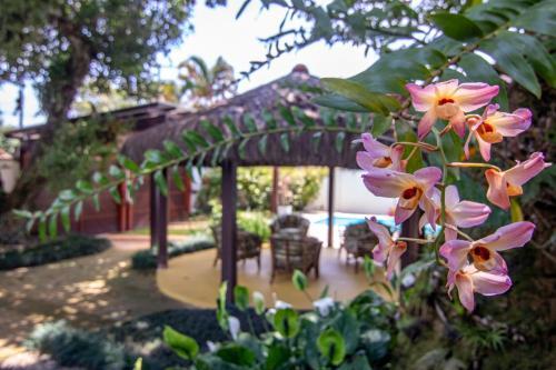 Casa Agrad�vel Com Piscina E Churrasqueira !
