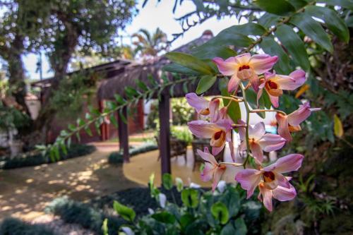 Casa Agrad�vel Com Piscina E Churrasqueira !