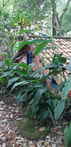 Vila Da Cachoeira Cocaia