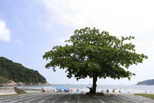 Blue House Guaruj�