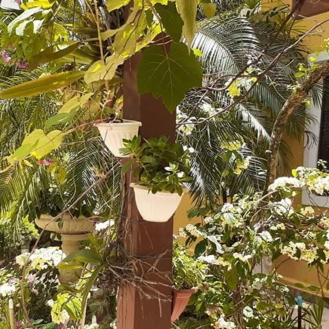 Apartamento 1 Dormit�rios , Pitangueiras, Guaruj� , 6 Pessoas