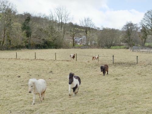 Coach House At Gaer Cottages