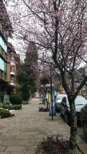 Apartamento A 700m Da Borges De Medeiros!