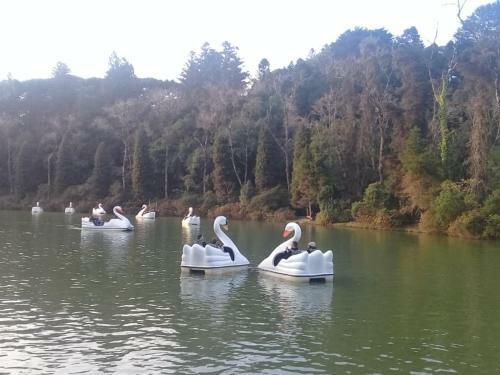 Apartamento Su�te Lago Negro