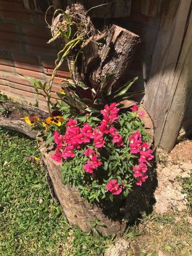 Casas Sabi�
