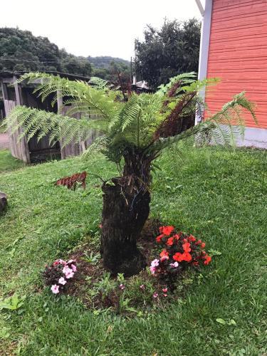 Casas Sabi�