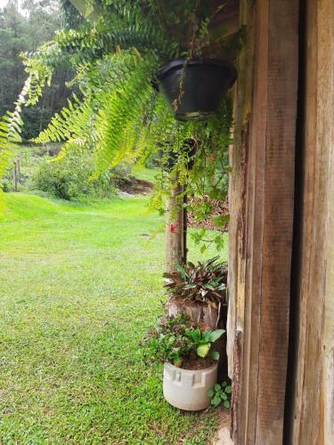 Casas Sabi�