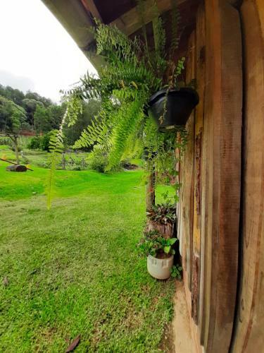 Casas Sabi�