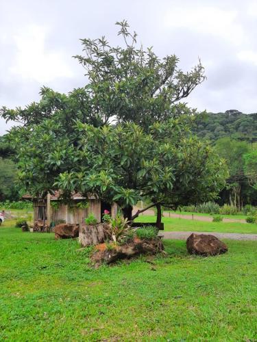 Casas Sabi�