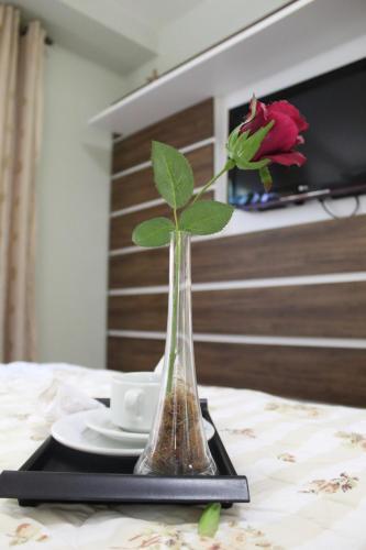 Rosa Apartamento Arauc�rias 203
