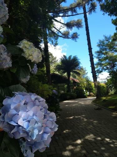 Casa Goldoni Gramado 3 Quartos
