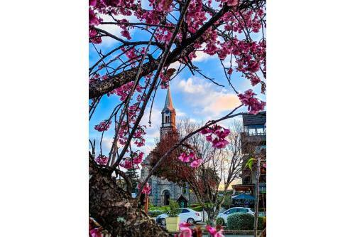 Apartamento Jardim Da Serra 5 Minutos Da Rua Coberta