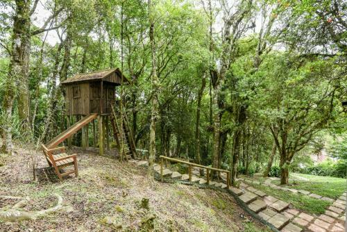 Rosa Casa Dos Pinheiros