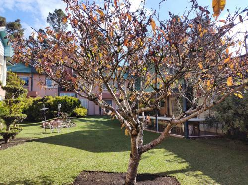 Agrad�vel Apartamento Pr�ximo Ao Lago Negro - Gramado