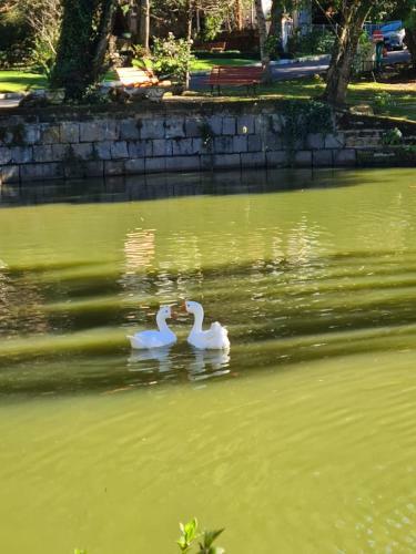 Chal� Do Bosque