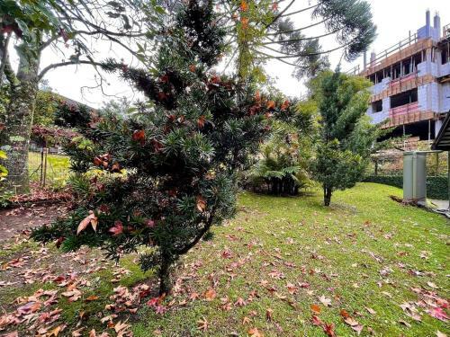 Bav�ria 205 - Apartamento Em Gramado - 5min Da Rua Coberta