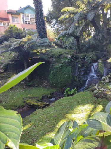 Acolhedor Apartamento Pr�ximo Ao Lago Negro