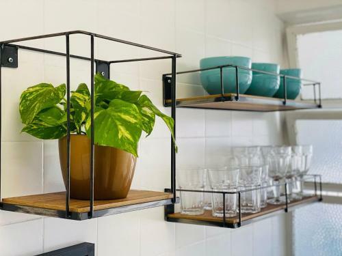 Apartamento Charmoso 2d Na Rua Coberta