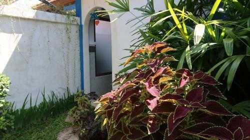 Villa Shantitara Bungalows