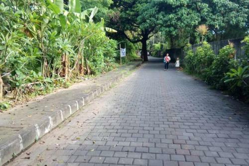 Miracle Villa Sanur