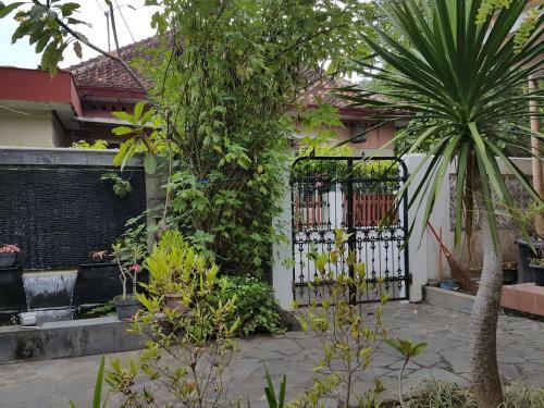 Hostal Omah Konco Yogyakarta
