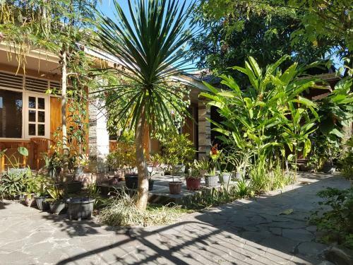 Hostal Omah Konco Yogyakarta