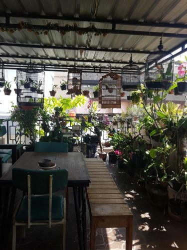 Wanderlust Homestay