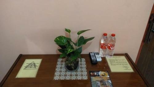 Hotel Seno