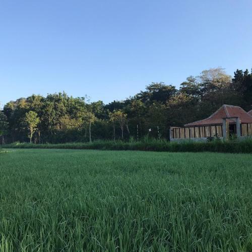 Villa Kayu Yogyakarta