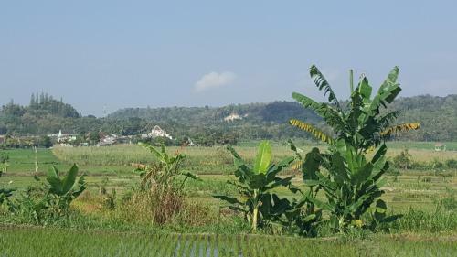 Villa Kayu Yogyakarta