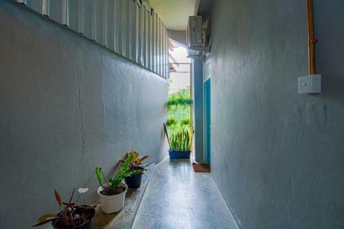 Albergue Kolo Kolo