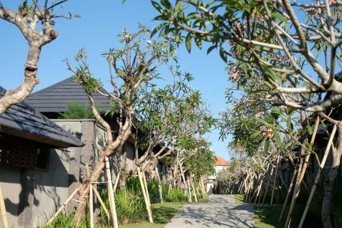 Villa Theanna Canggu - Chse Certified