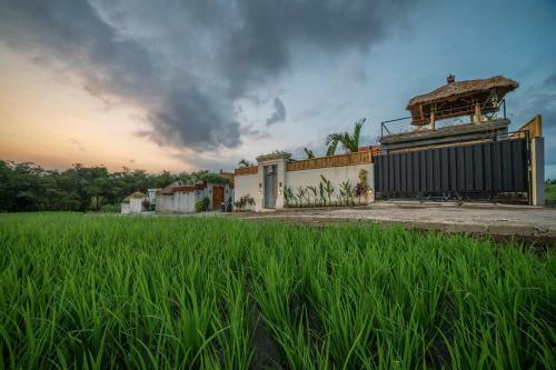Luxury Villa Safira