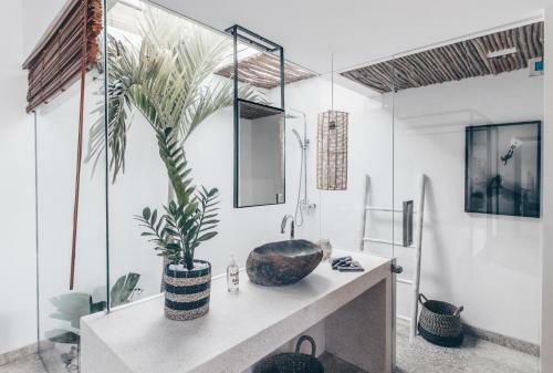 Hostal Beyond Bungalows