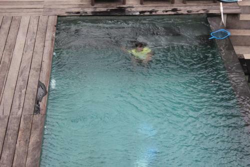 Hostal Indah Bali Guesthouse
