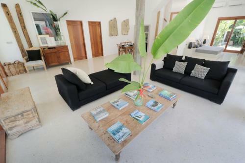 Amazing 3 Bedrooms Villa Canggu