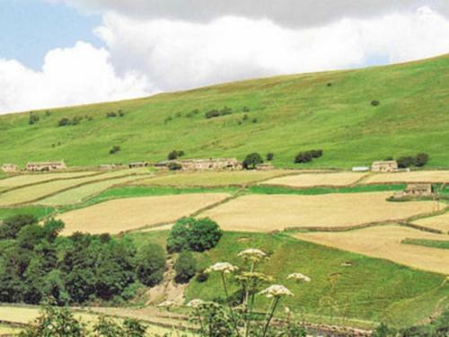Dyke Heads Stable