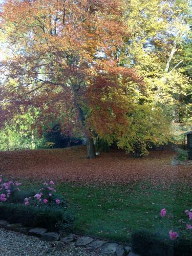Bed & Breakfast Murcott Mill