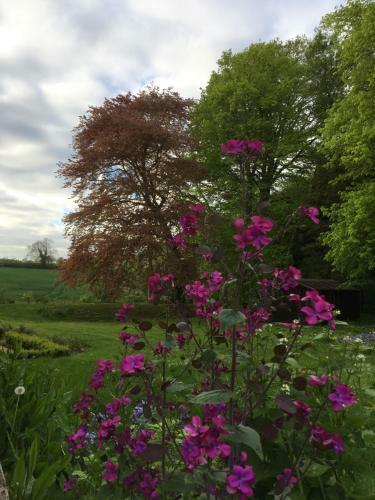 Bed & Breakfast Murcott Mill
